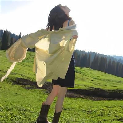 老拍挡